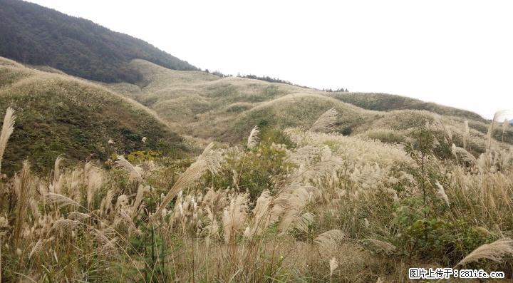 求租两三百亩左右山岭地 - 农作物 - 农林牧渔 - 桂林分类信息 - 桂林28生活网 www.28life.net