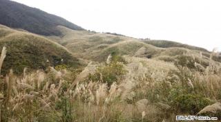 求租两三百亩左右山岭地 - 桂林28生活网 www.28life.net