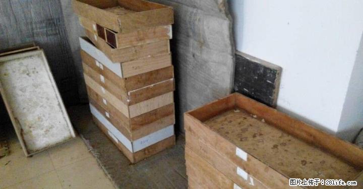 出售黄粉虫，大麦虫养殖器具，传授养殖经验 - 牲畜 - 农林牧渔 - 桂林分类信息 - 桂林28生活网 www.28life.net
