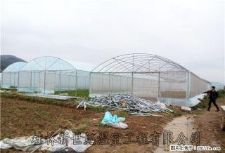 桂林温室大棚制作大棚配件批发销售大棚建设安装 - 桂林28生活网 www.28life.net