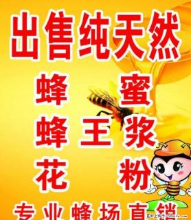 阳朔绿色生态原装蜂蜜 - 桂林28生活网 www.28life.net