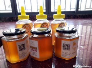 纯蜂蜜，农家蜂蜜.冬蜜。百分百无添加！ - 桂林28生活网 www.28life.net