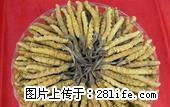桂林回收冬虫夏草 5X极草含片 淡干海参 - 礼品刀具 - 特色礼品 - 桂林分类信息 - 桂林28生活网 www.28life.net