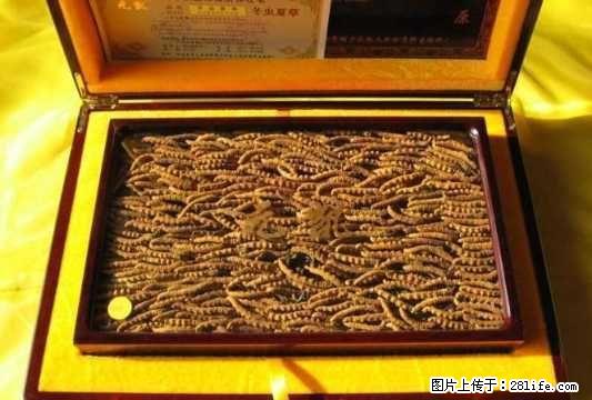 北京收冬虫夏草13811220624回收礼品海参燕窝鹿茸 - 礼品刀具 - 特色礼品 - 桂林分类信息 - 桂林28生活网 www.28life.net