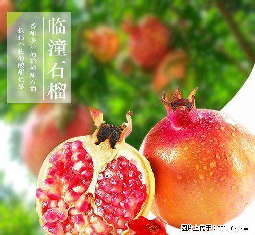 临潼石榴单果8两左右 九只装礼盒包邮 - 农作物 - 农林牧渔 - 桂林分类信息 - 桂林28生活网 www.28life.net