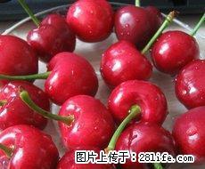维尔康生态农庄 种植高品质樱桃 - 桂林28生活网 www.28life.net