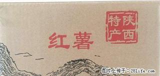 陕西秦薯 现挖 新鲜地瓜 5斤装 25元包邮 - 桂林28生活网 www.28life.net