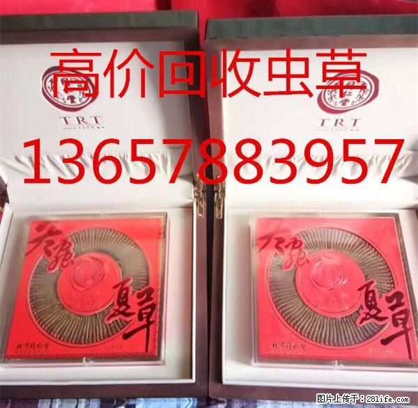 桂林市回收礼品；冬虫夏草；东阿阿胶；燕窝；5x极草含片等 - 新手上路 - 桂林生活社区 - 桂林28生活网 www.28life.net