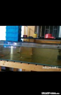 金晶超白缸 鱼缸 长115厘米 宽70厘米 高32厘米 - 桂林28生活网 www.28life.net