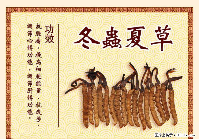 收同仁堂冬虫夏草13391773392收东阿阿胶燕窝海参瑶柱鱼肚鱼翅花胶干贝鹿茸参灵草 - 礼品刀具 - 特色礼品 - 桂林分类信息 - 桂林28生活网 www.28life.net