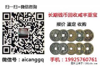 宝泉当十出头宝回收鉴定 - 桂林28生活网 www.28life.net