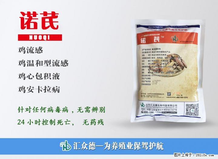 鸡气囊炎如何防治？用鸡气囊炎特效药诺芪 - 牲畜 - 农林牧渔 - 桂林分类信息 - 桂林28生活网 www.28life.net