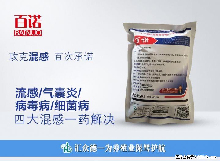 肉鸡气囊炎，我们是如何三天控制死亡 - 牲畜 - 农林牧渔 - 桂林分类信息 - 桂林28生活网 www.28life.net