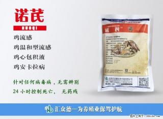 鸡气囊炎如何防治？用鸡气囊炎特效药诺芪 - 桂林28生活网 www.28life.net