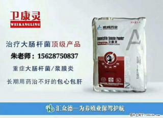 教你一招，如何治疗肉鸡气囊炎混感大肠杆菌 - 桂林28生活网 www.28life.net