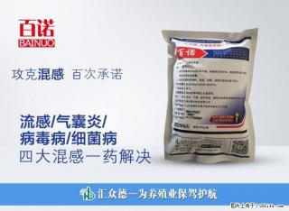 肉鸡气囊炎，我们是如何三天控制死亡 - 桂林28生活网 www.28life.net