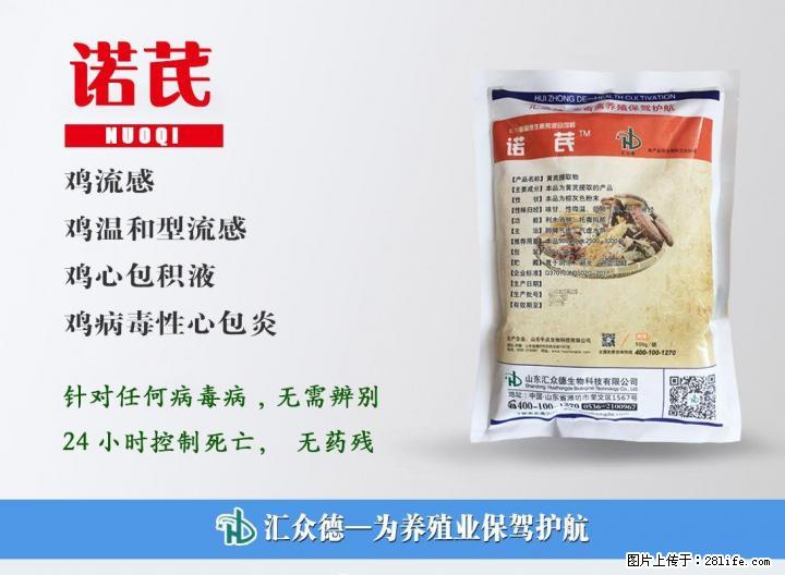 教你一招三天治好肉鸡新城疫 - 牲畜 - 农林牧渔 - 桂林分类信息 - 桂林28生活网 www.28life.net