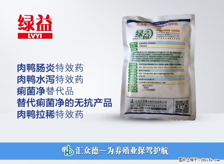 鸭子肠炎拉水便不这么用药你将损失惨重 - 牲畜 - 农林牧渔 - 桂林分类信息 - 桂林28生活网 www.28life.net