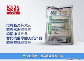 鸭子肠炎水泻不这么治你将会损失严重！ - 桂林28生活网 www.28life.net