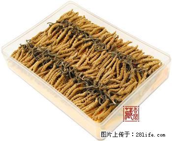 廊坊市回收冬虫夏草13021062888高价收同仁堂冬虫夏草 - 礼品刀具 - 特色礼品 - 桂林分类信息 - 桂林28生活网 www.28life.net