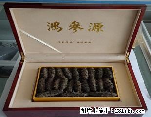 桂林回收冬虫夏草13021062888收购同仁堂冬虫夏草 - 保健品 - 饮食特产 - 桂林分类信息 - 桂林28生活网 www.28life.net