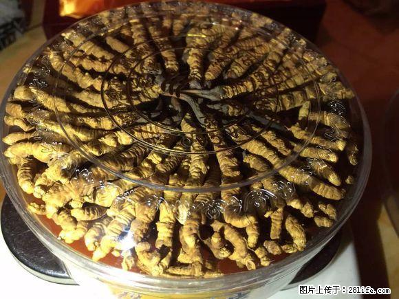 北京朝阳区回收冬虫夏草 回收海参 阿胶多少钱一斤 - 其他广告 - 广告专区 - 桂林分类信息 - 桂林28生活网 www.28life.net