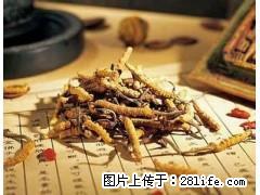 桂林高价回收冬虫夏草13611114534收购海参 - 礼品刀具 - 特色礼品 - 桂林分类信息 - 桂林28生活网 www.28life.net