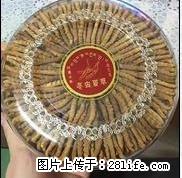 天津《哪》回收冬虫夏草13611114534《有收》海参燕窝 - 土特产 - 饮食特产 - 桂林分类信息 - 桂林28生活网 www.28life.net