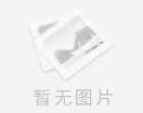 英国短毛猫征女友，速度 - 宠物配种及服务 - 宠物信息 - 桂林分类信息 - 桂林28生活网 www.28life.net