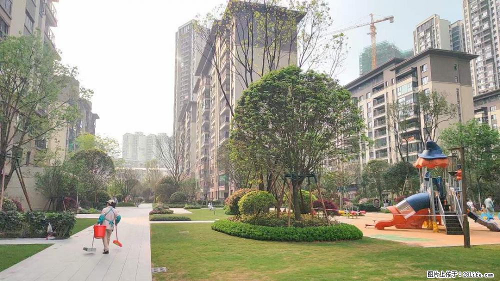 彰泰学府好楼层 产权99平加赠送120平,3房2厅2卫,满2年现亏本急售,售价:一口价39.8万 - 家居生活 - 桂林生活社区 - 桂林28生活网 www.28life.net