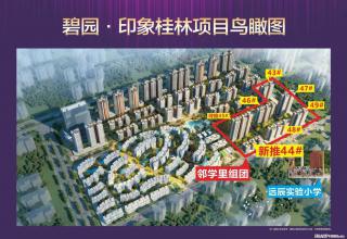 碧园印象桂林，44 号楼南门、远辰小学门口商铺预计5月29开盘，交5000意向金送三年物业费 - 桂林28生活网 www.28life.net