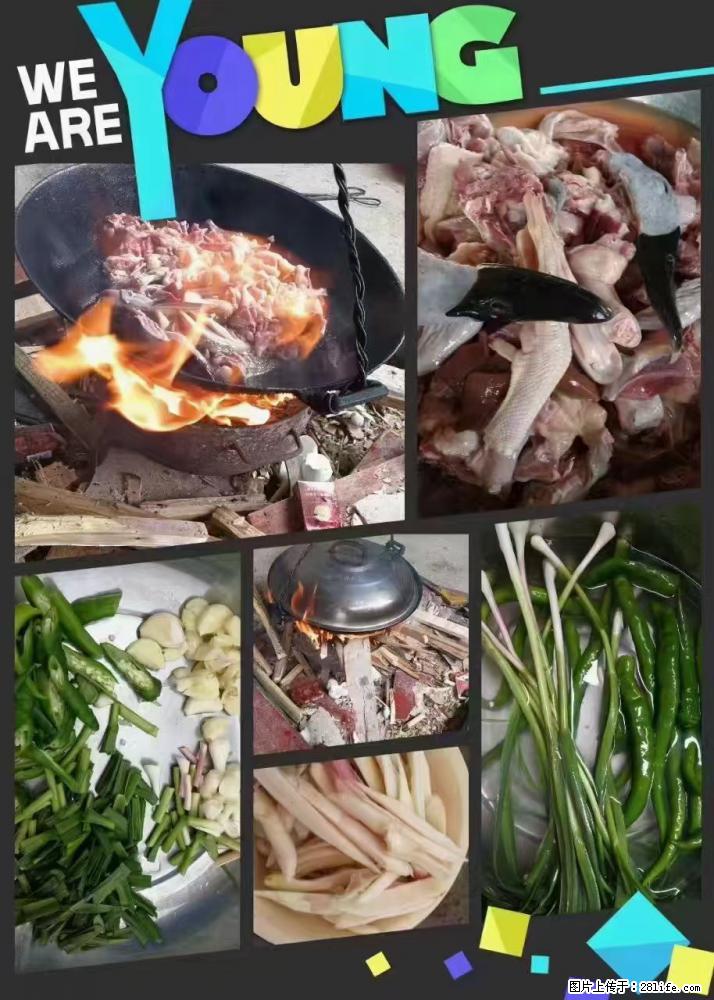 【全州醋血鸭】唐老鸭美味馆，真材实料好不好顾客说的算，做菜我是认真的哦 - 其他广告 - 广告专区 - 桂林分类信息 - 桂林28生活网 www.28life.net