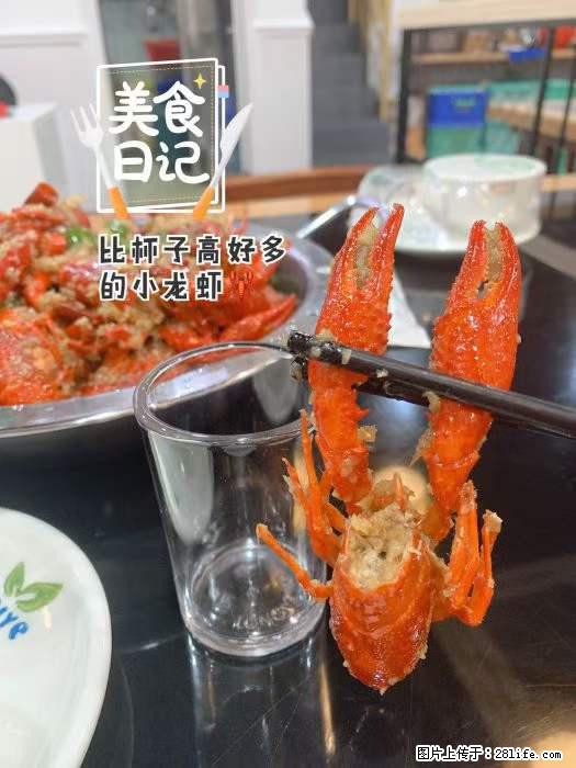 【荣恒粤式乳鸽王】家门口就能吃到新鲜小龙虾,红烧脆皮乳鸽,美味又营养 - 其他广告 - 广告专区 - 桂林分类信息 - 桂林28生活网 www.28life.net