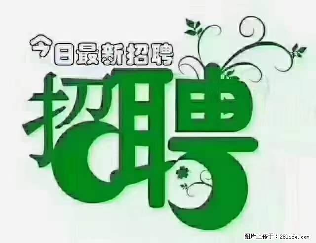 上海青浦区招仓管 - 职场交流 - 桂林生活社区 - 桂林28生活网 www.28life.net