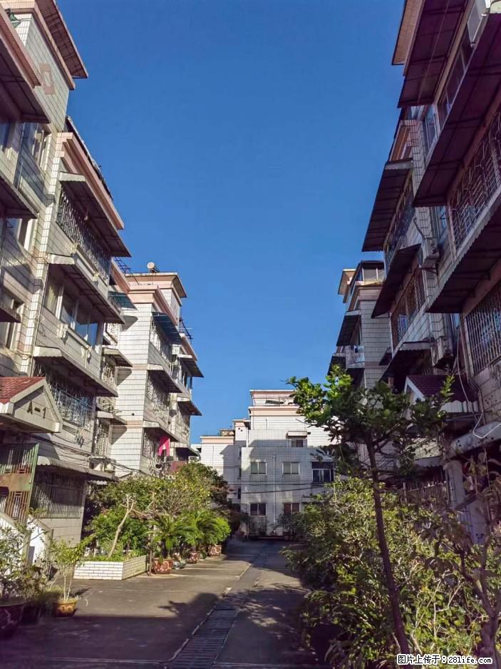 出价就租【西门菜市楼上】120平米三房两厅两卫出租，楼梯四楼，闹中取静 - 家居生活 - 桂林生活社区 - 桂林28生活网 www.28life.net