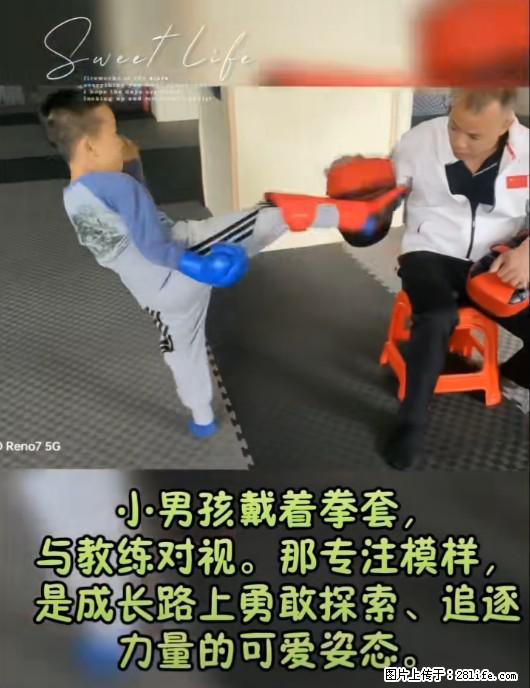 【振华武术搏击俱乐部】寒假班开始绍生啦！练武术，散打，搏击，从娃娃抓起。 - 运动休闲 - 桂林生活社区 - 桂林28生活网 www.28life.net