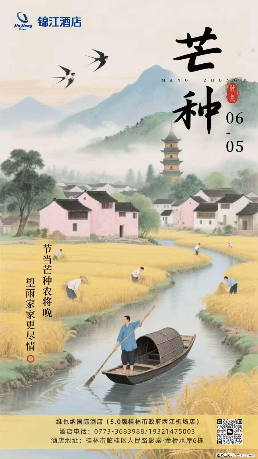 【维也纳国际酒店】²⁰²⁶/₀₆.₀₅芒种，芒种播下希望，盛夏自有回响 随日子慢慢长，待答案悄悄来 - 情感天地 - 桂林生活社区 - 桂林28生活网 www.28life.net