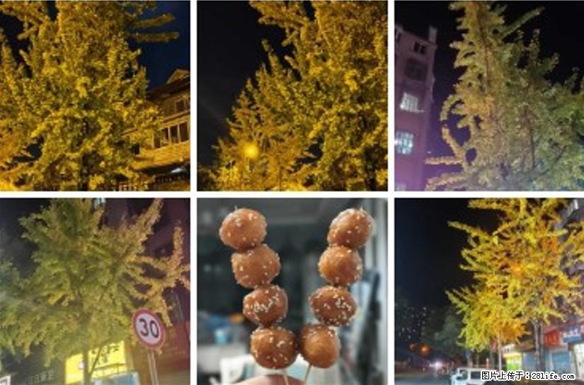 夜幕低垂，银杏染金，正如古人所云：“霜叶红于二月花”，而今秋叶黄胜春花，街头一串麻圆粑粑，甜糯如昔 - 灌水专区 - 桂林生活社区 - 桂林28生活网 www.28life.net