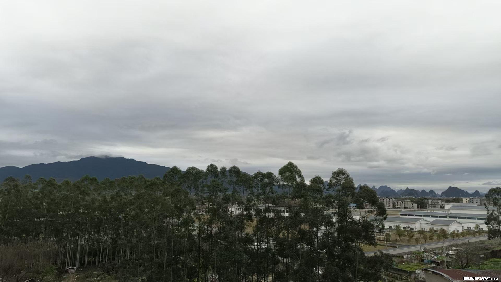 远看，那山，那树开始萌动，近观大地换上了新妆，心开始悸动，嗅着香，空气到处弥漫着春的味道。 - 情感天地 - 桂林生活社区 - 桂林28生活网 www.28life.net