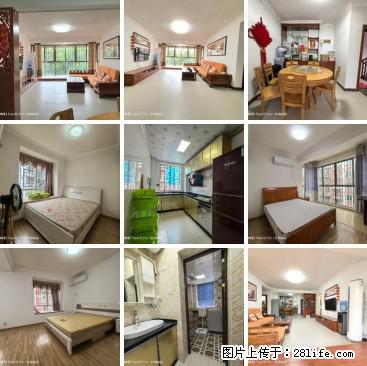 新出房源【七彩小康城】3房2厅1卫，113平米，物业费低，吉售：35.6万（小刀） - 房屋出售 - 房屋租售 - 桂林分类信息 - 桂林28生活网 www.28life.net