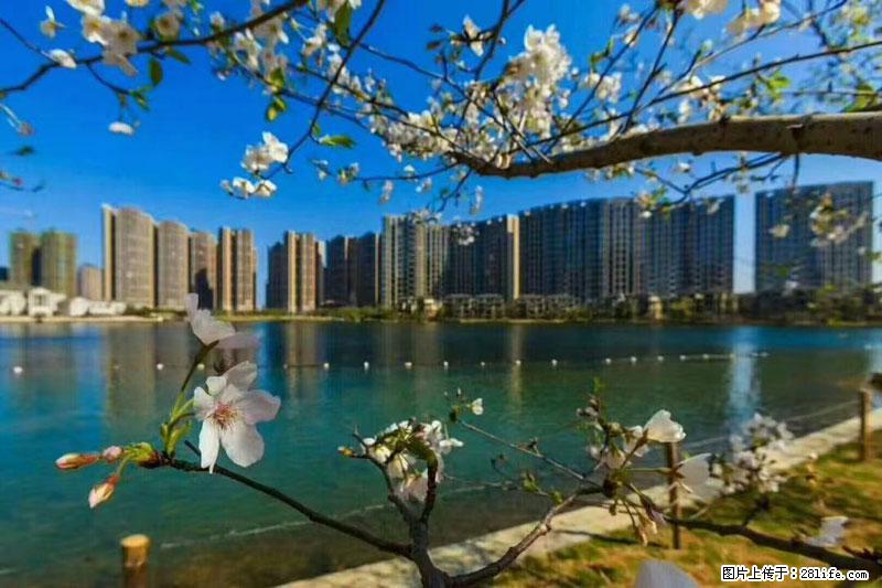 【麓湖国际 · 空中墅】，13楼，一线湖景，209平，毛坯，仅售 69.8万 - 房屋出售 - 房屋租售 - 桂林分类信息 - 桂林28生活网 www.28life.net