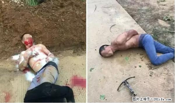 桂林偷狗贼拿弓弩进村偷狗，又挨村民活捉打得半死！ - 桂林生活资讯 - 桂林28生活网 www.28life.net