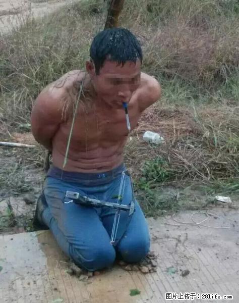 桂林偷狗贼拿弓弩进村偷狗，又挨村民活捉打得半死！ - 桂林生活资讯 - 桂林28生活网 www.28life.net