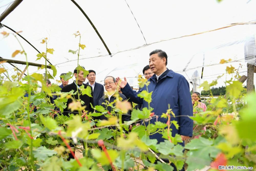 习近平赴广西考察调研 - 桂林生活资讯 - 桂林28生活网 www.28life.net