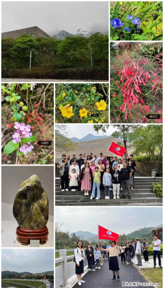 “粤灌文化 美好生活”油茶文化主题活动在广东深圳成功举办 - 桂林生活资讯 - 桂林28生活网 www.28life.net