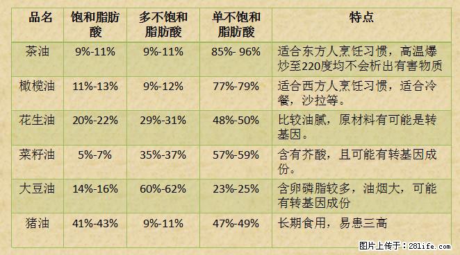 揭秘茶油的5大核心营养成分！被称为人体健康的“守护盾”！ - 桂林生活资讯 - 桂林28生活网 www.28life.net