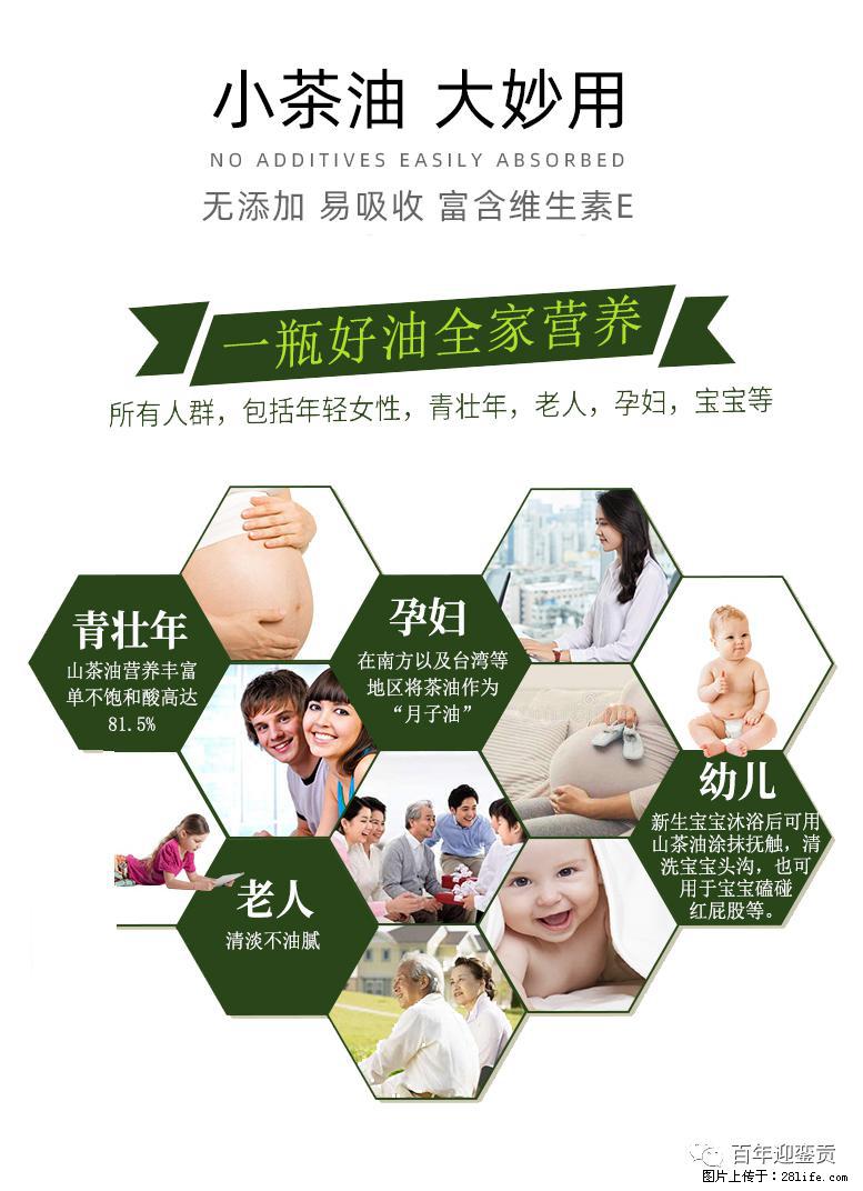 世界没有真相，只有认知，最好的食用油是中国的山茶油！ - 桂林生活资讯 - 桂林28生活网 www.28life.net
