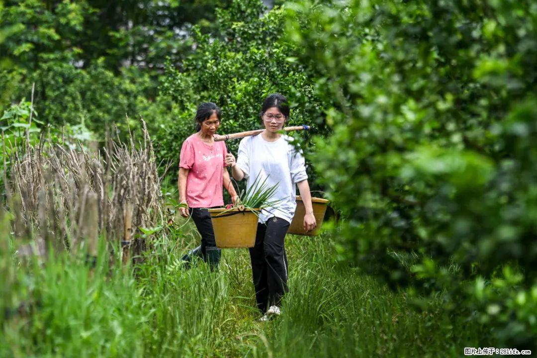 全网追的“扁担女孩”，找了一份暑假工，时薪12元 - 桂林生活资讯 - 桂林28生活网 www.28life.net