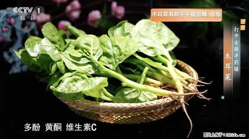 比牛奶补钙还厉害！凉血解毒、稳血糖...这菜冬天必吃，很多人却当草 - 桂林生活资讯 - 桂林28生活网 www.28life.net