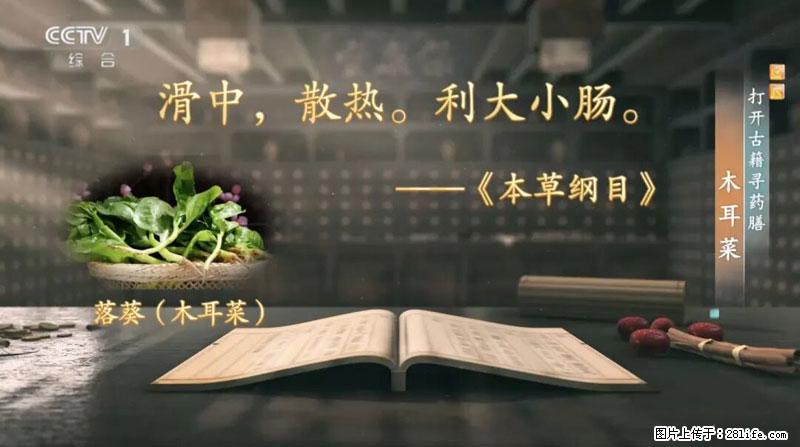 比牛奶补钙还厉害！凉血解毒、稳血糖...这菜冬天必吃，很多人却当草 - 桂林生活资讯 - 桂林28生活网 www.28life.net
